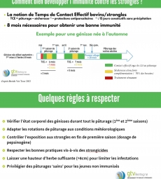 Préparer l'immunité antiparasitaire